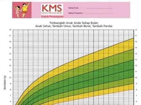 kms online